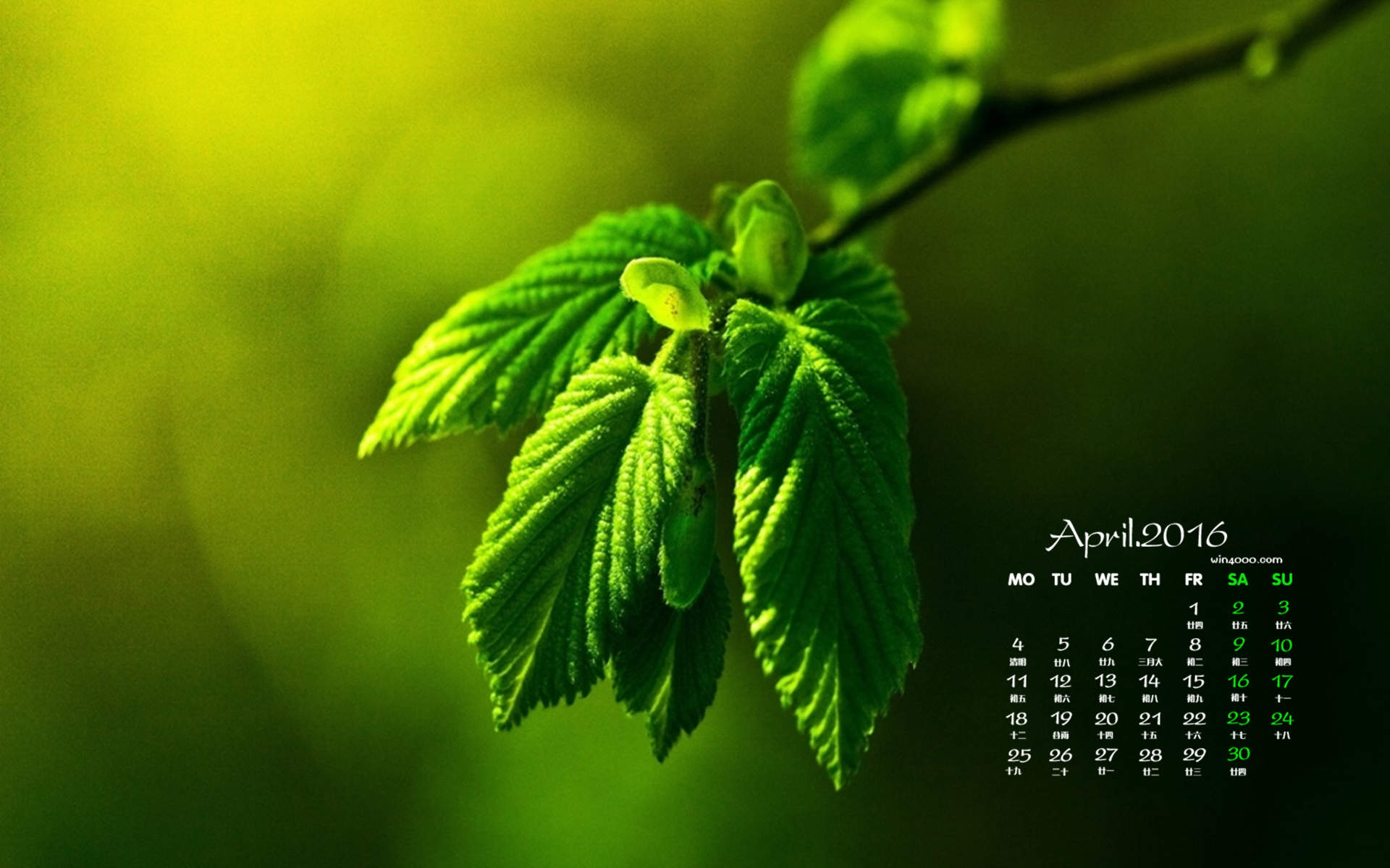2016年7月日历绿色桌面壁纸图片