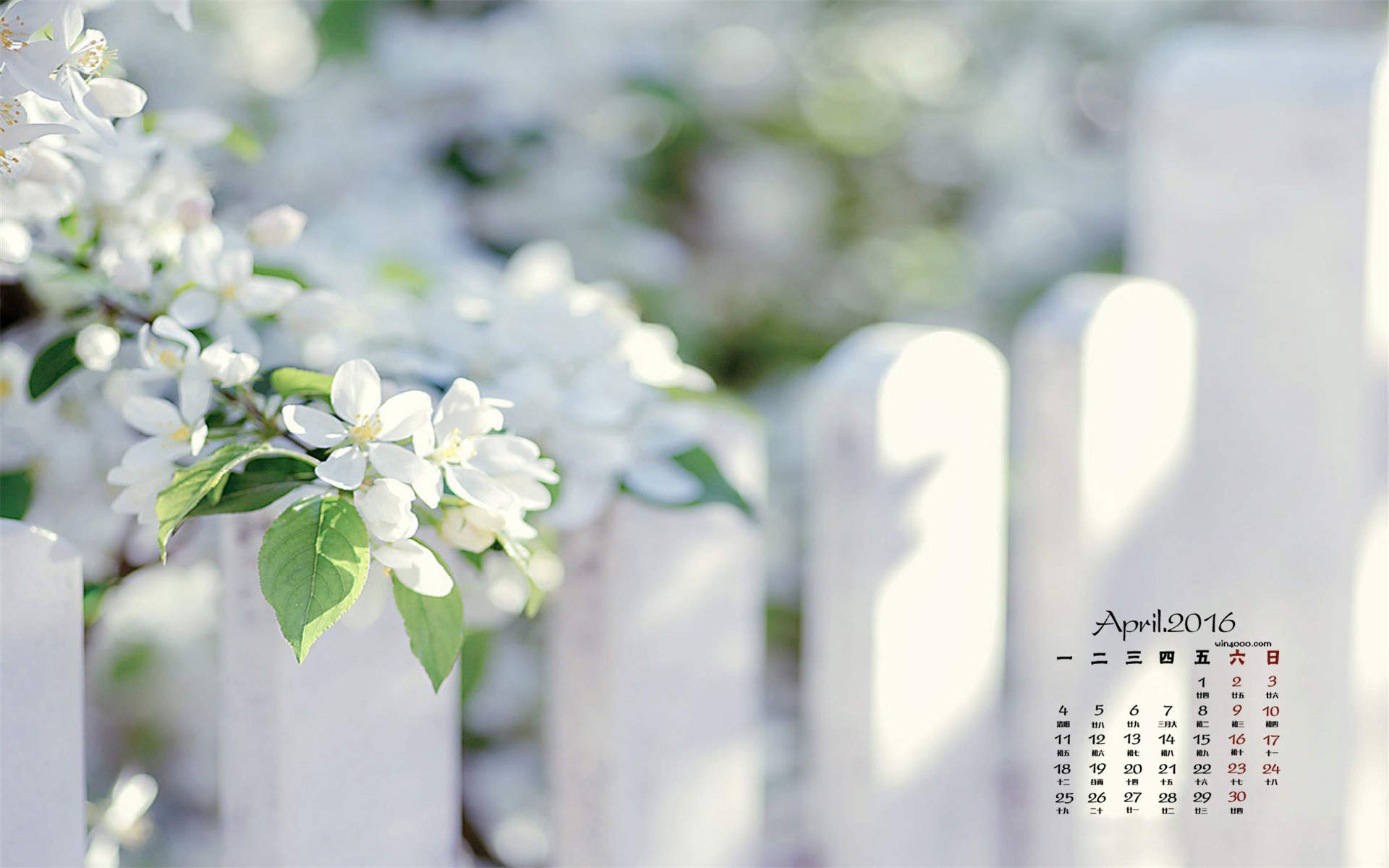 倪妮春日梨花大片高清桌面壁纸图片
