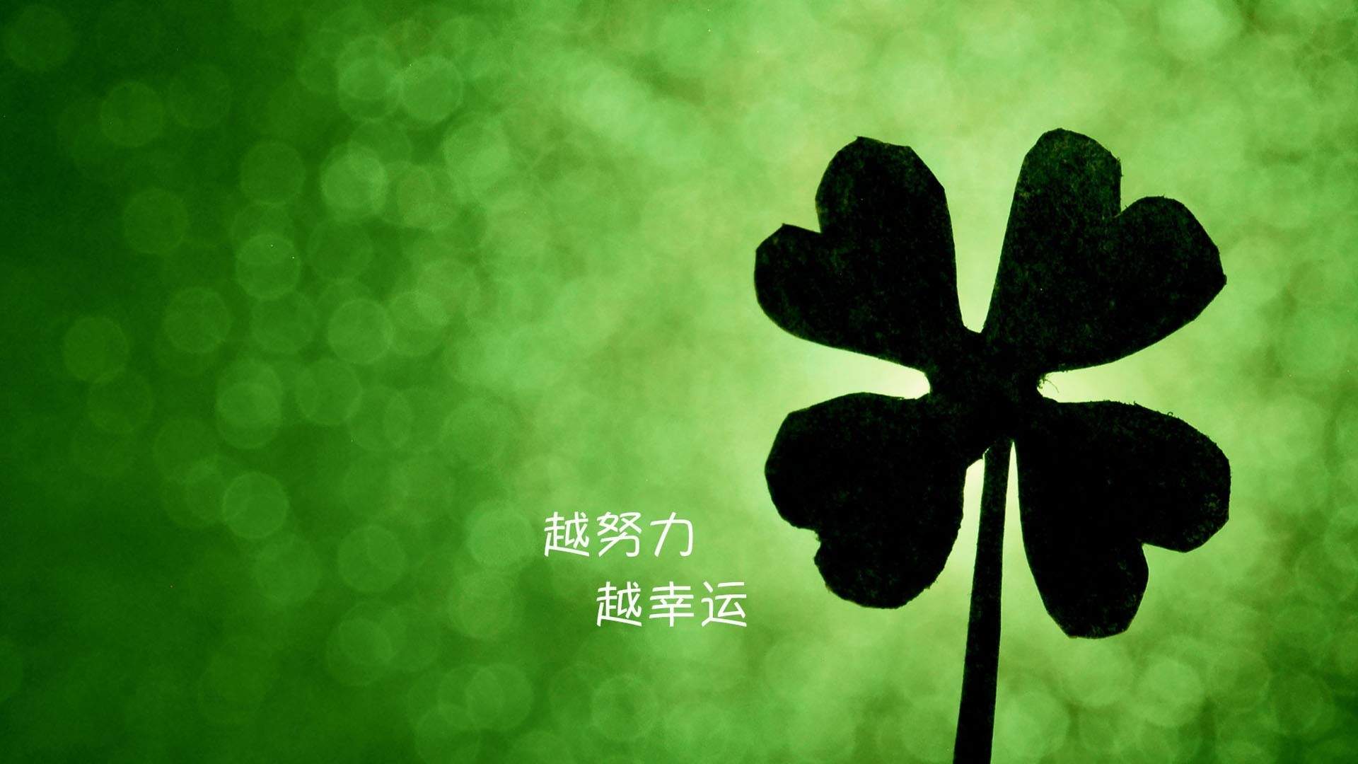 清新护眼四叶草图片图片
