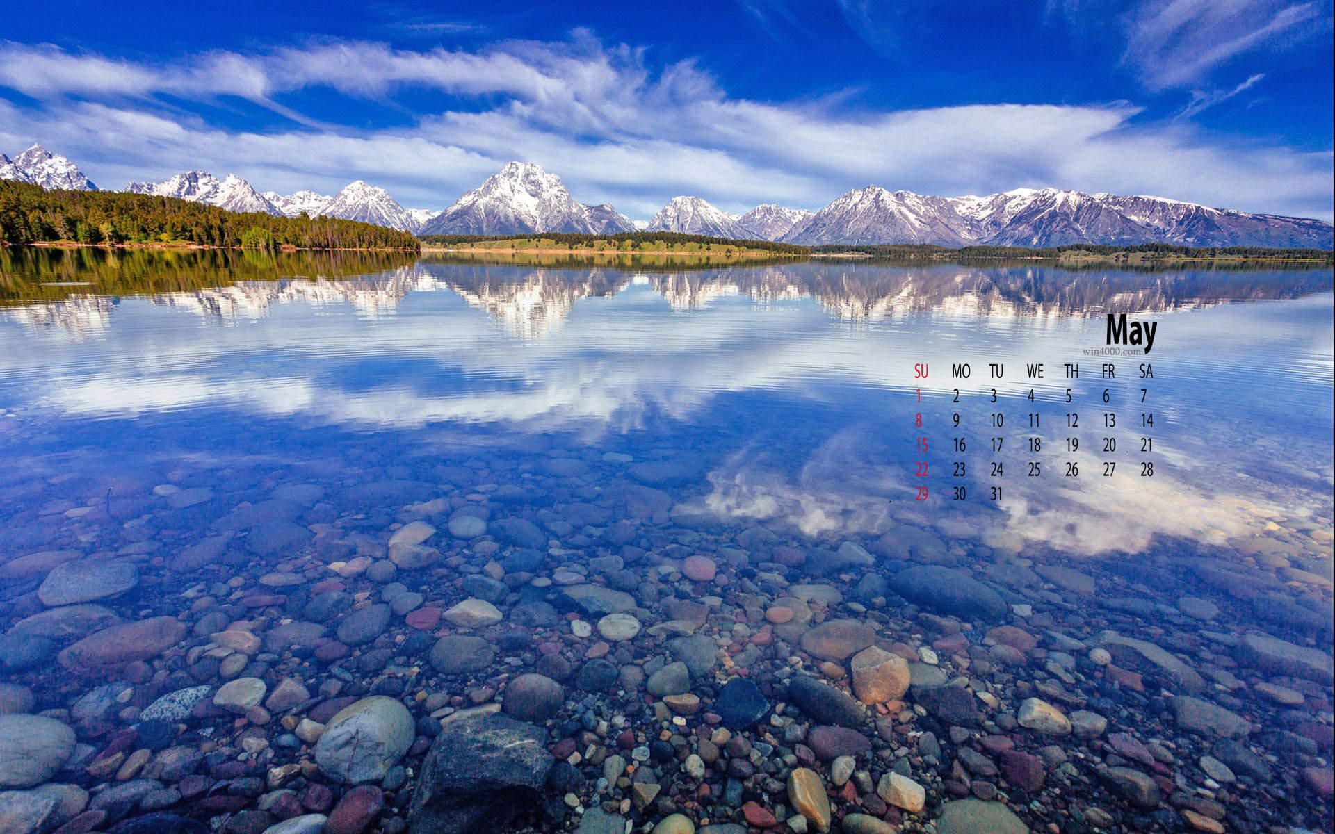 精选树下吃草的羊美丽风景桌面壁纸图片