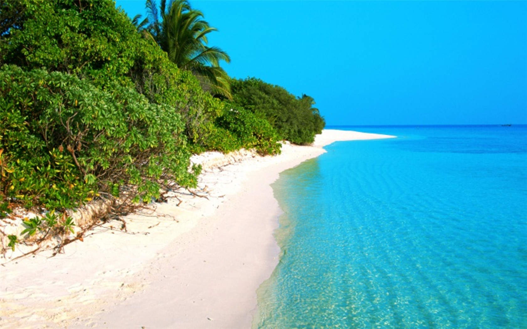 夏日唯美海边风景高清手机滚屏壁纸下载图片