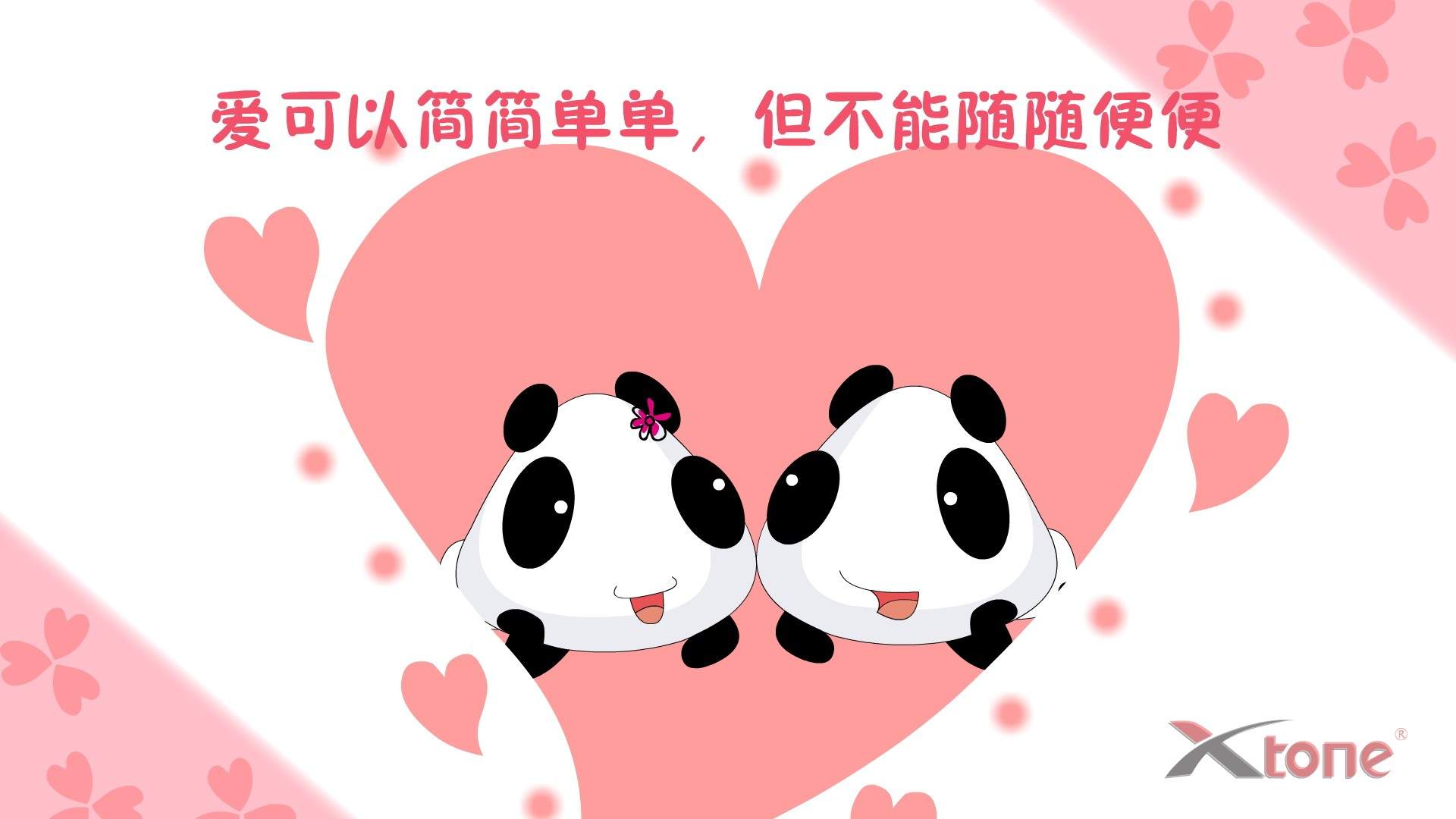 猫睡觉姿势搞笑图片：睡觉也要成双睡图片