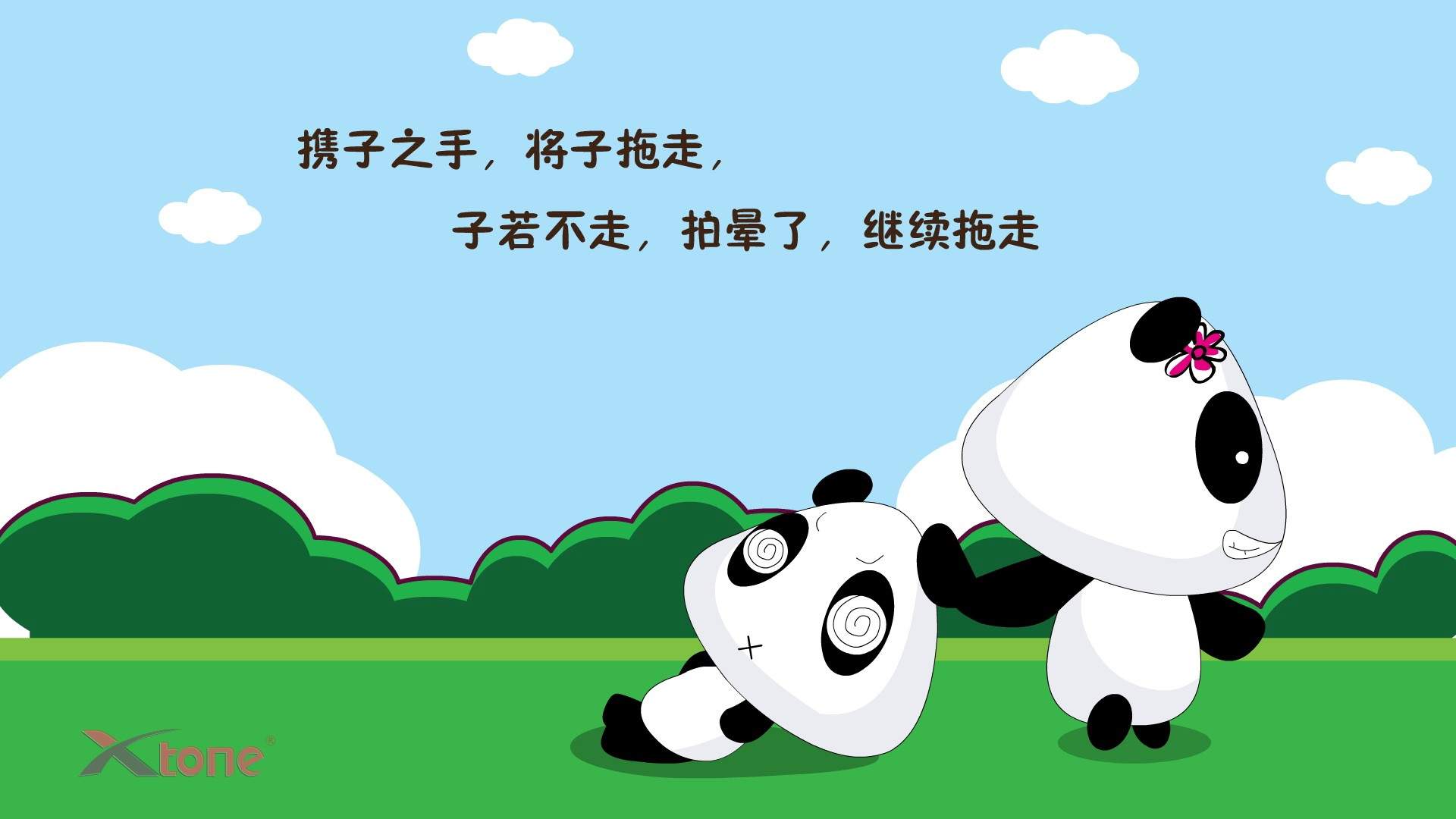 微博漫画家郭斯特的猫可爱动物写真图片图片