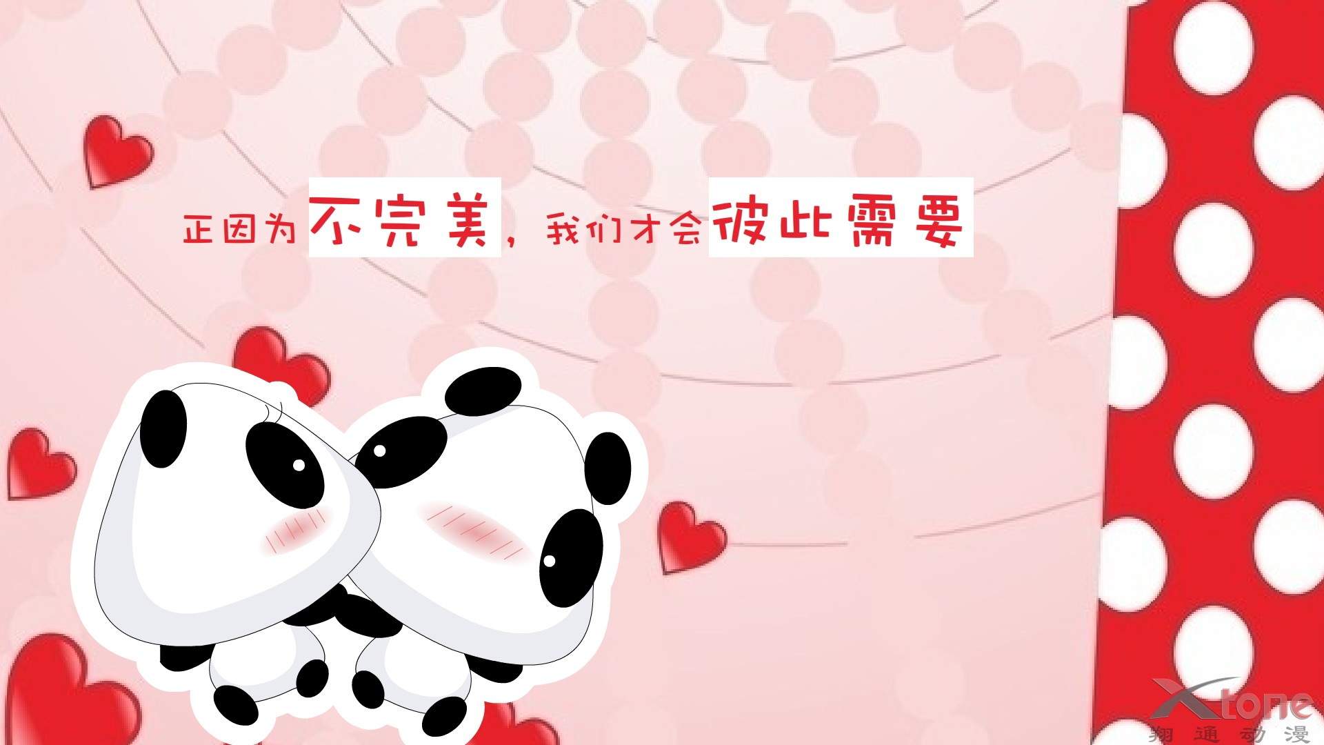 微博漫画家郭斯特的猫可爱动物写真图片图片