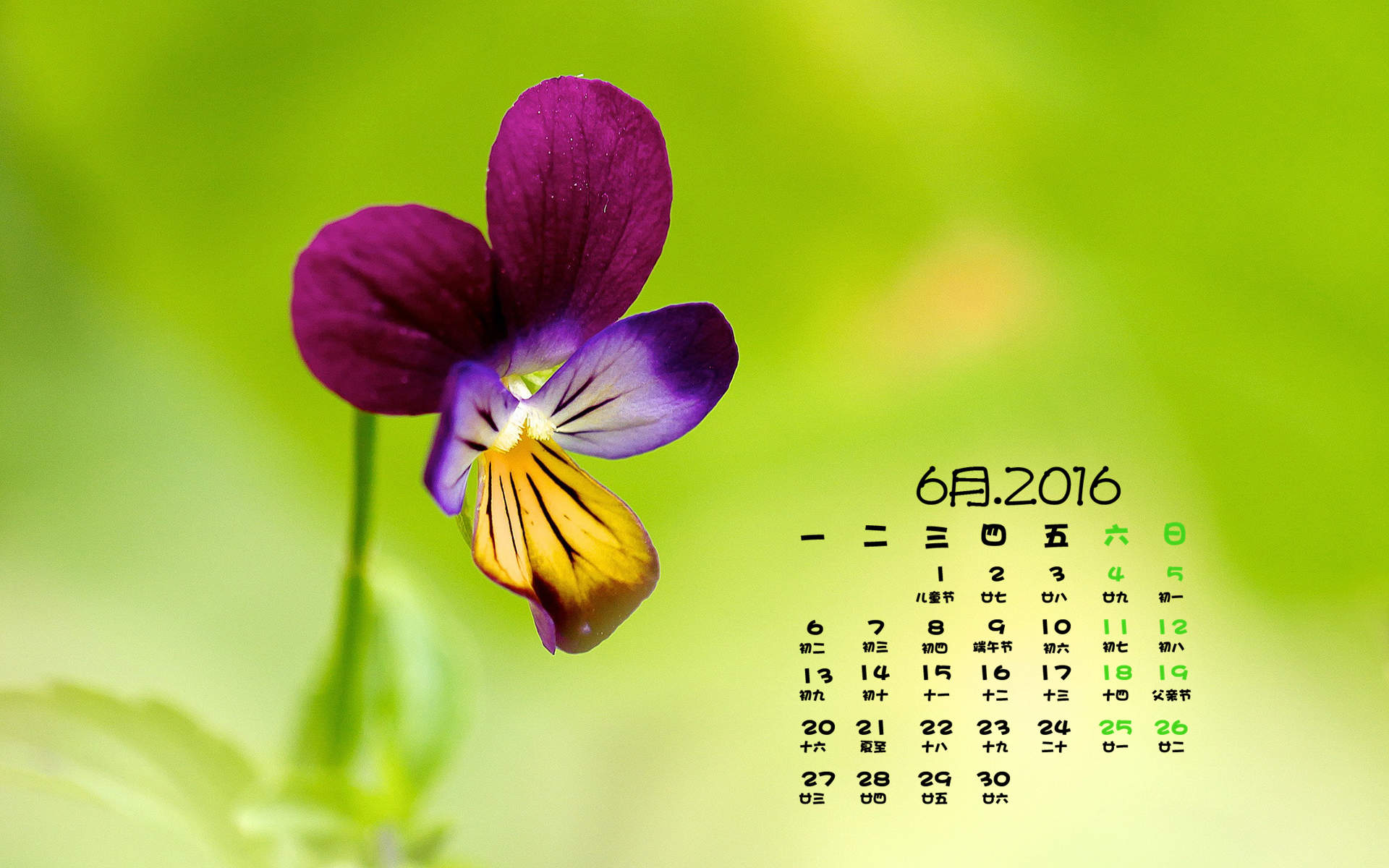 2019年12月文艺小清新绿色桌面日历壁纸图片
