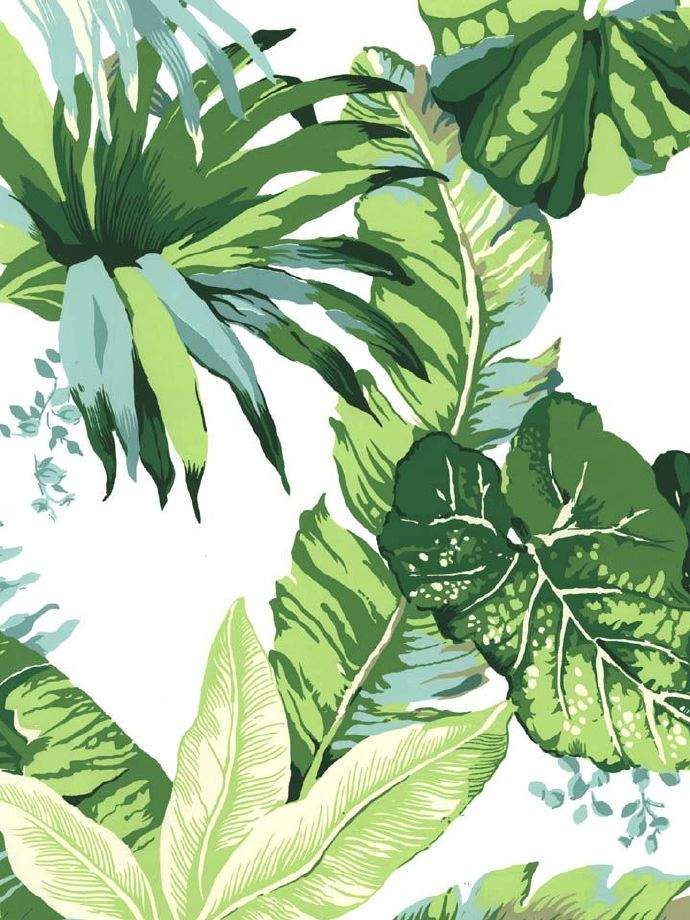 叶子纹理绿色植物手机锁屏壁纸图片