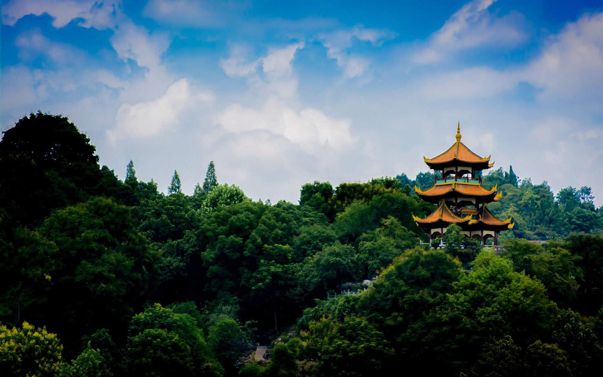 2016年8月日历蓝天下的向日葵高清风景壁纸图片