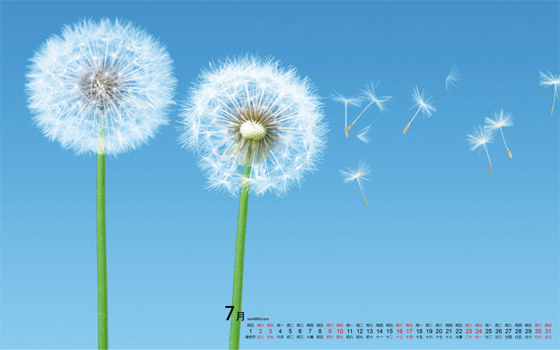 2017年3月清新自然唯美的蒲公英日历壁纸图片