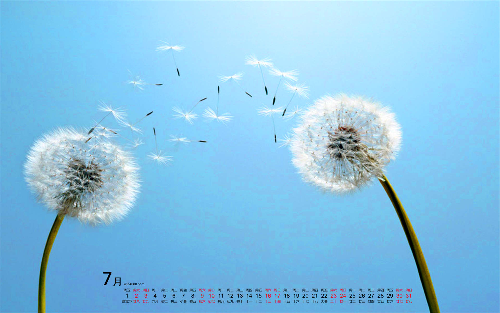 2017年3月清新自然唯美的蒲公英日历壁纸图片