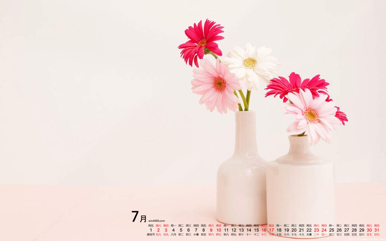 2016年7月日历唯美盆栽植物壁纸图片