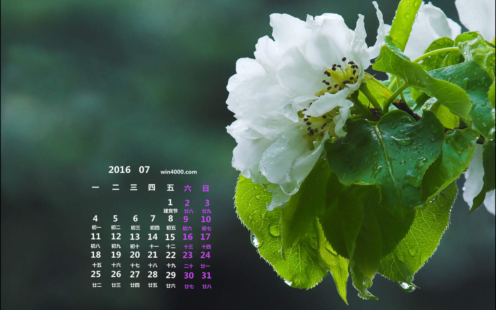 2016年7月日历图片