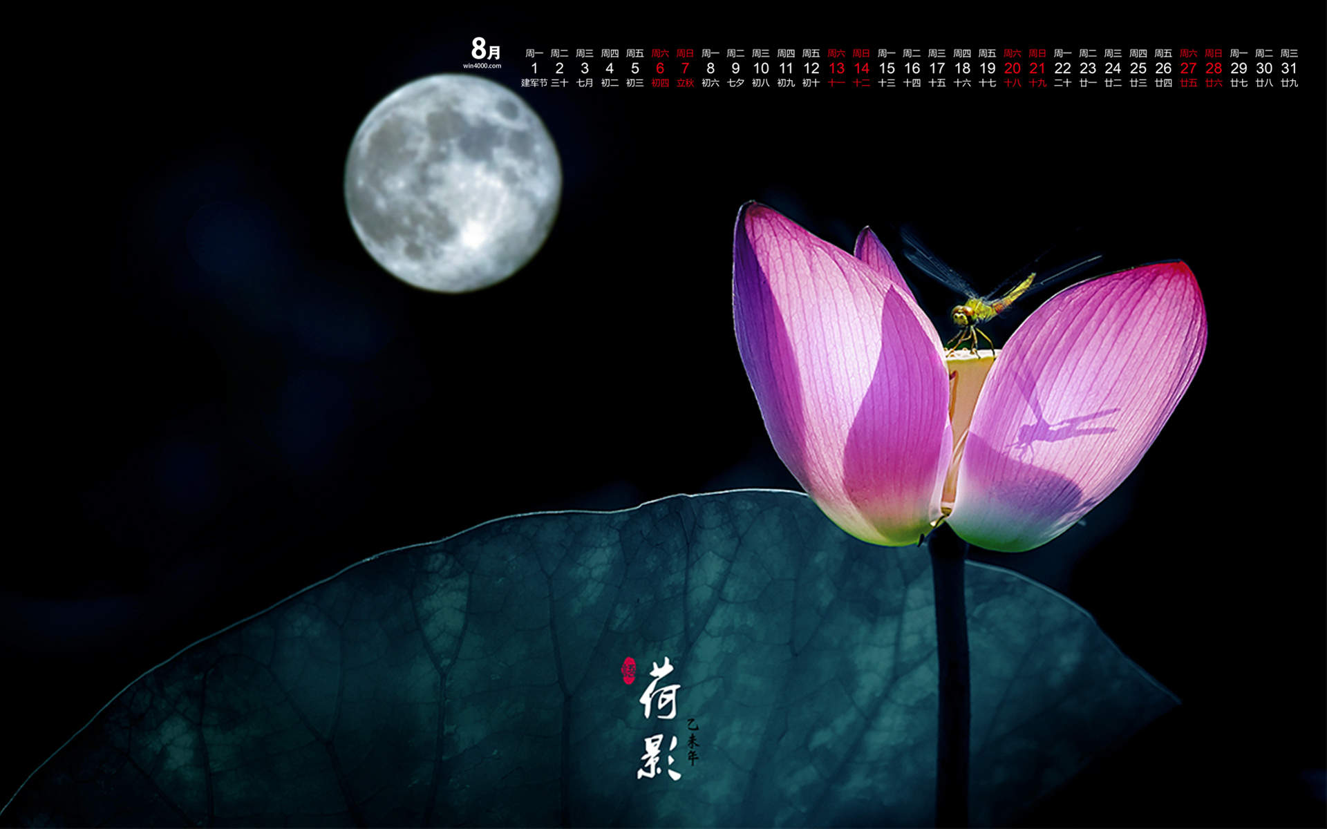 夏日唯美新清荷花护眼图片高清手机壁纸下载图片
