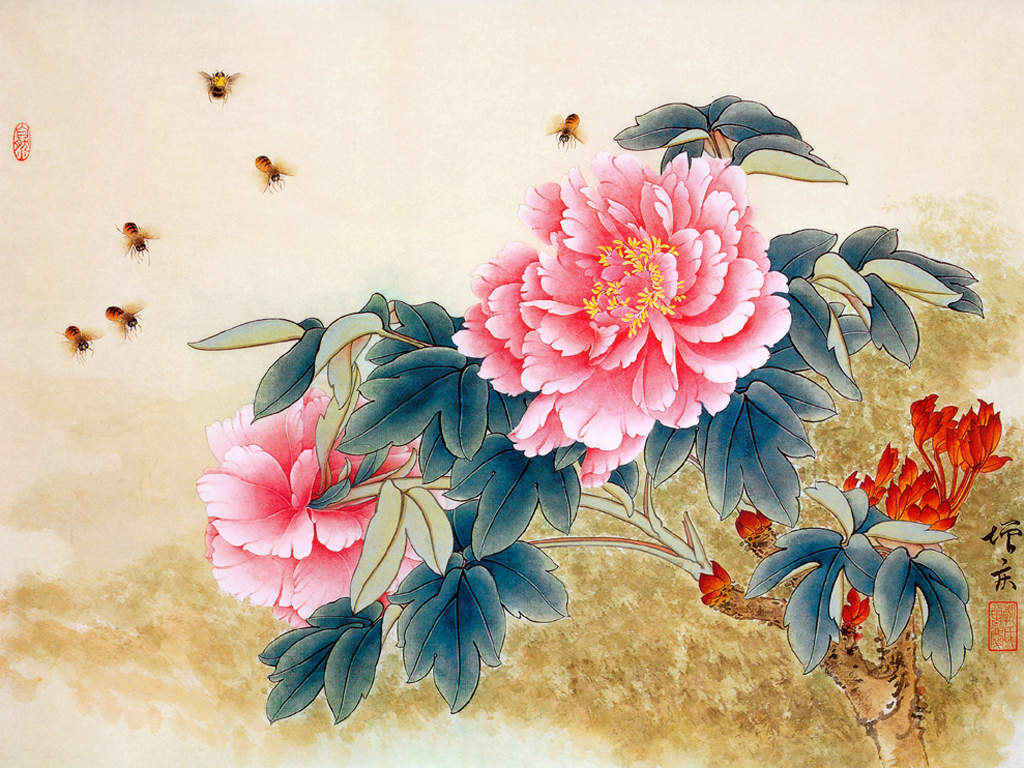 2017年11月牡丹花卉植物日历图片壁纸图片