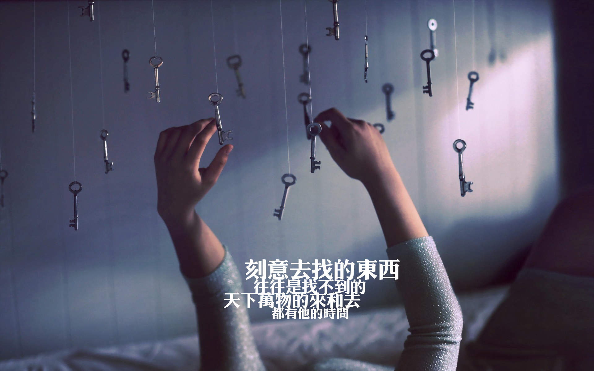 爱情文字语录高清图片 唯美心情语录图片图片