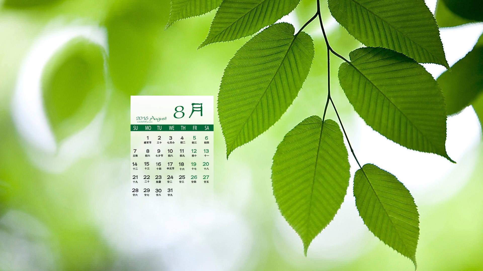 绿色图片图片