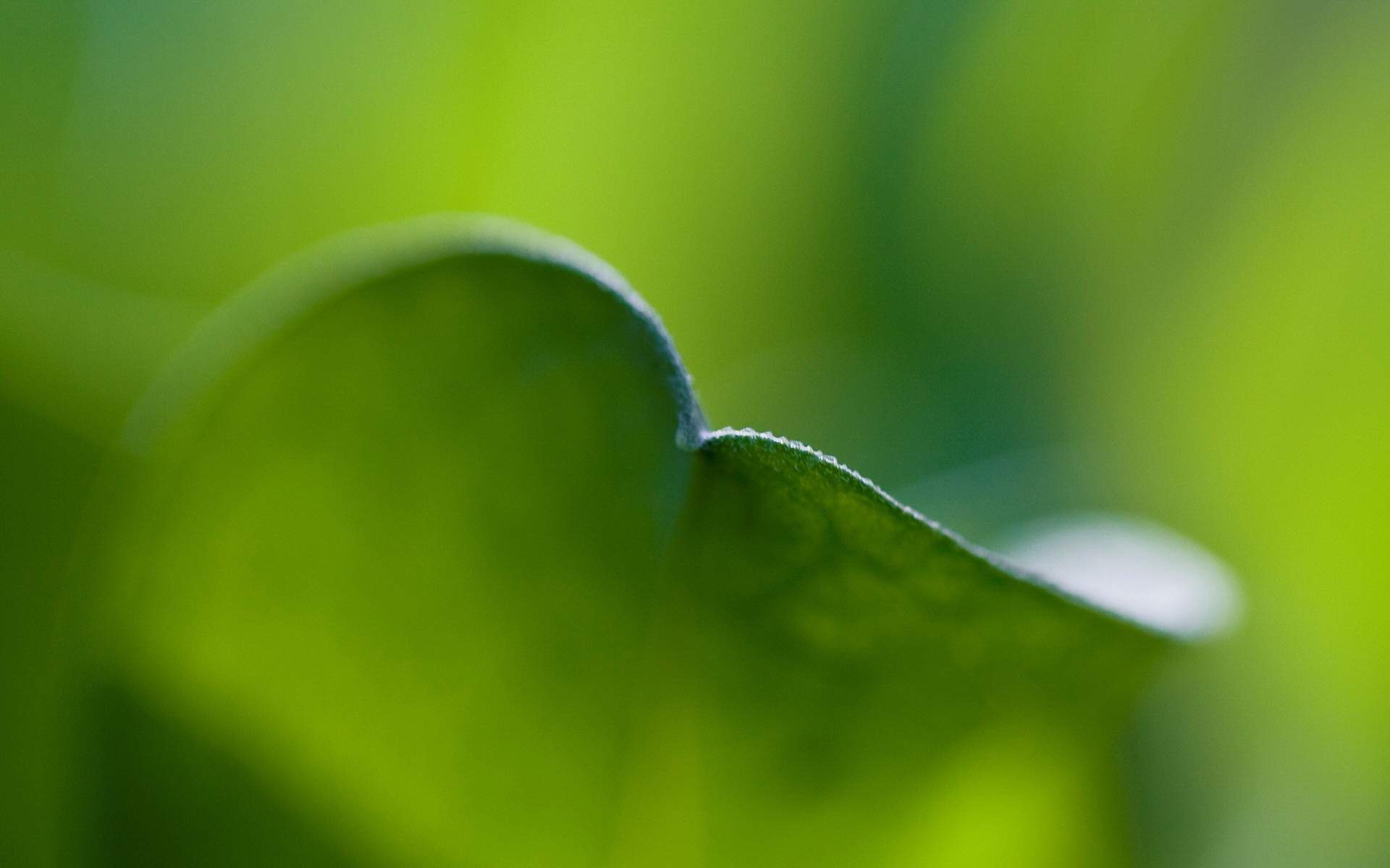 护眼壁纸图片