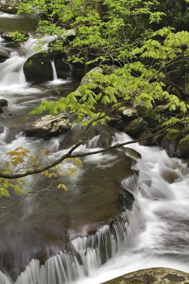 大山深处小溪瀑布唯美风景图片电脑桌面壁纸下载图片
