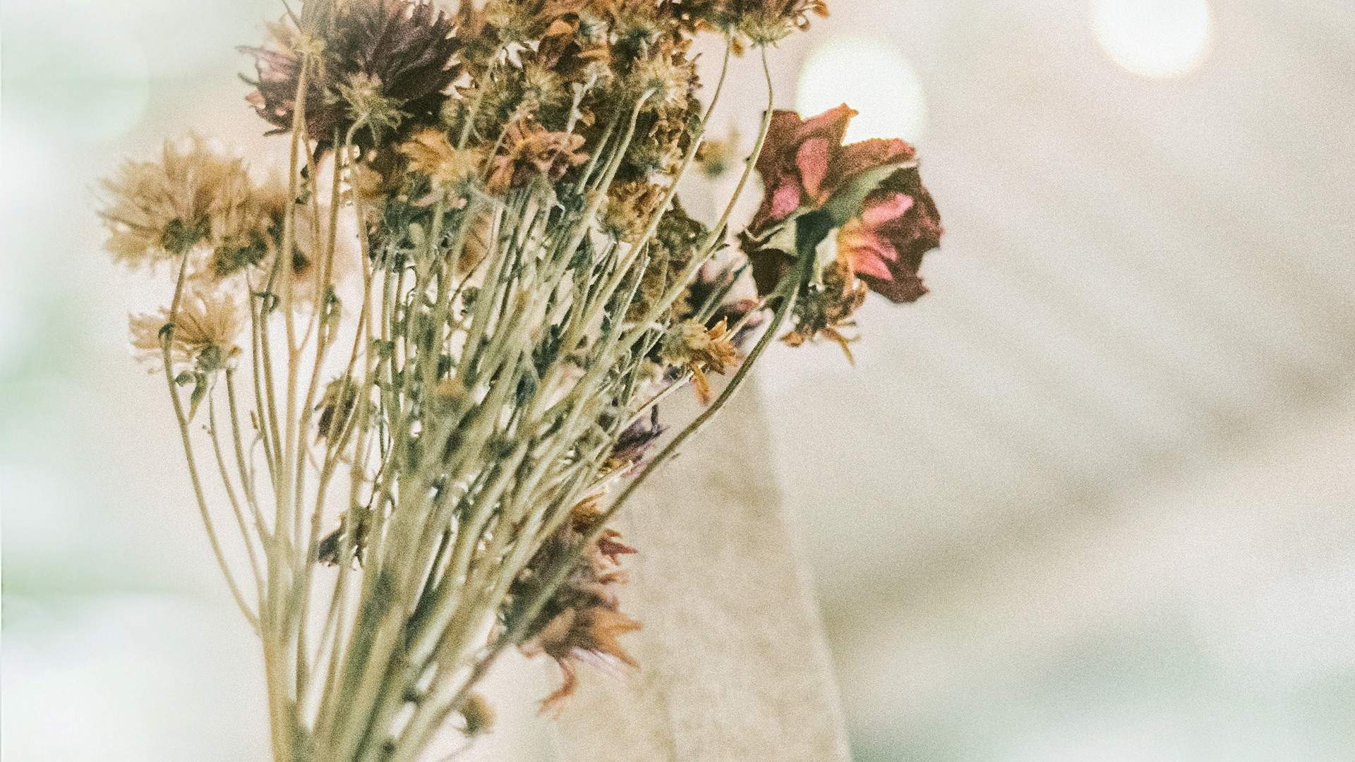 小清新治愈花束油画手机壁纸图片