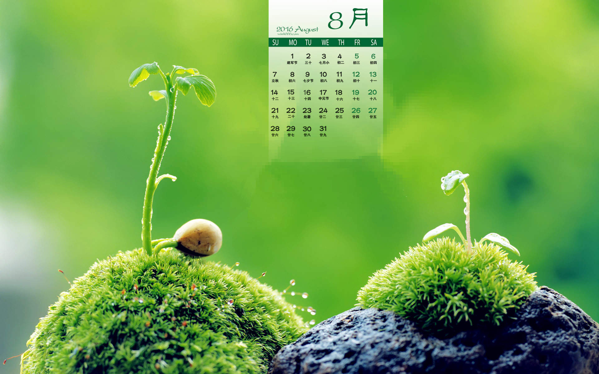 2016年9月日历海滨城市沙滩碧水高清风景壁纸图片