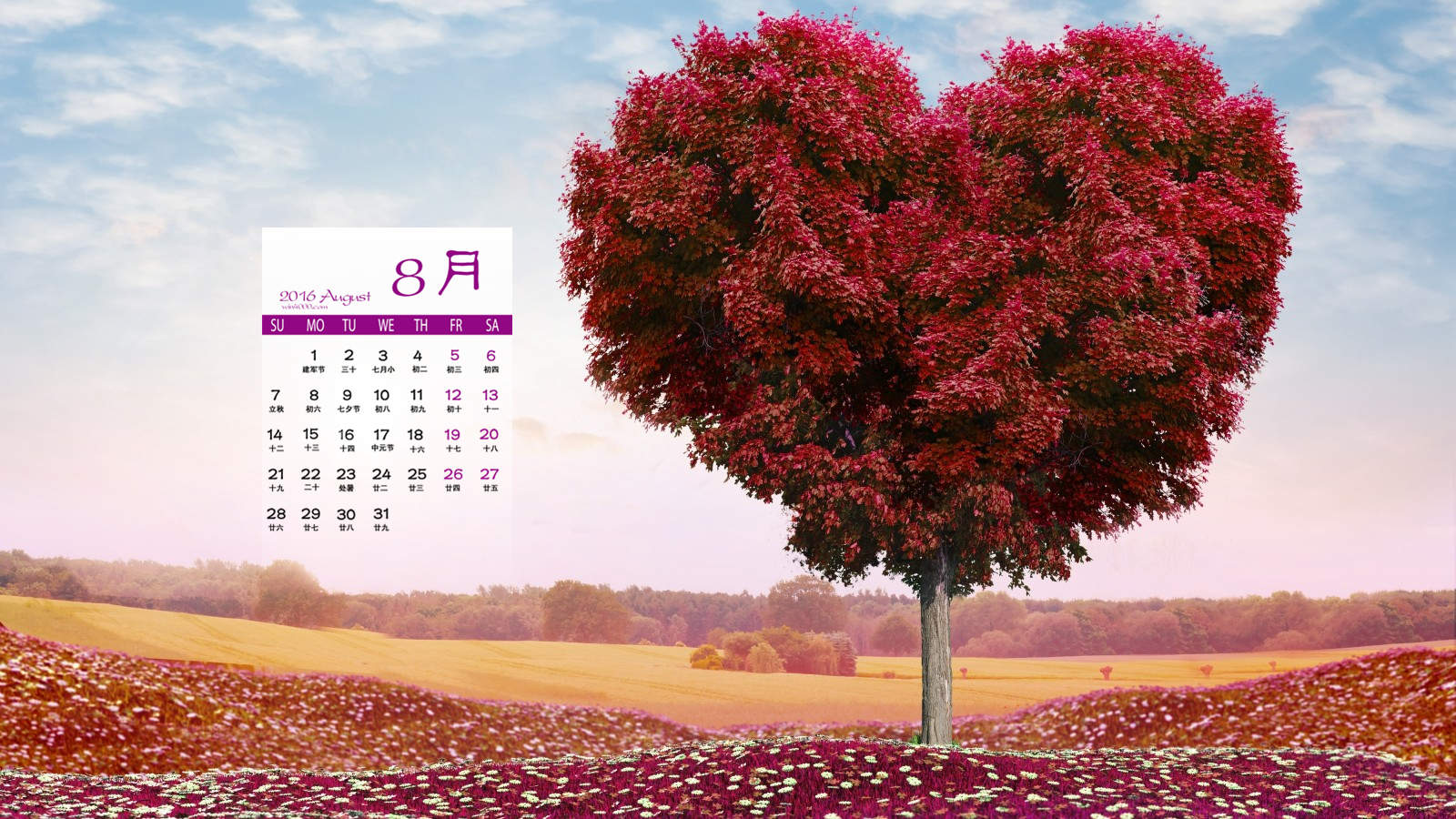 情人节图片