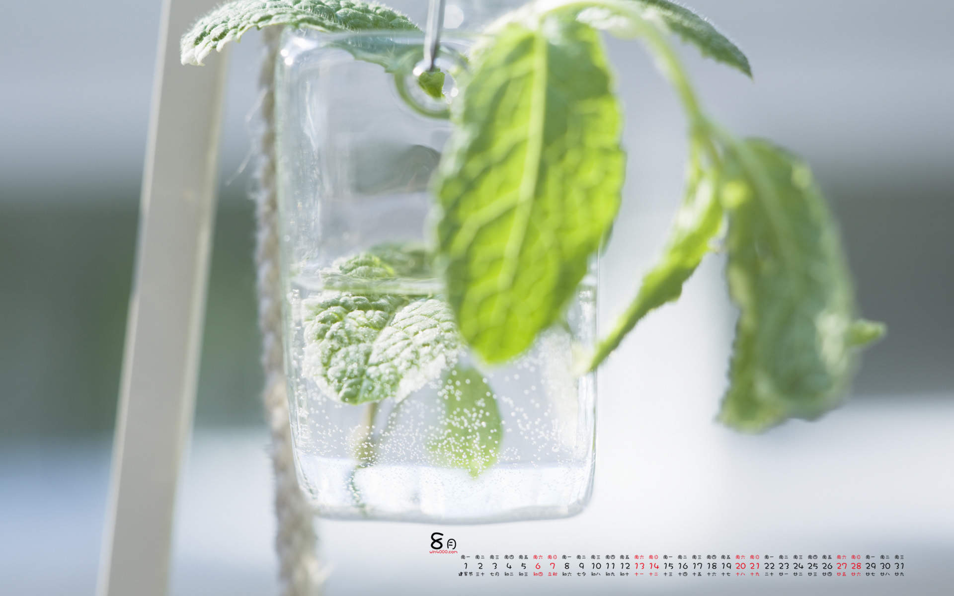 2016年8月日历盆栽风景桌面壁纸第一辑图片