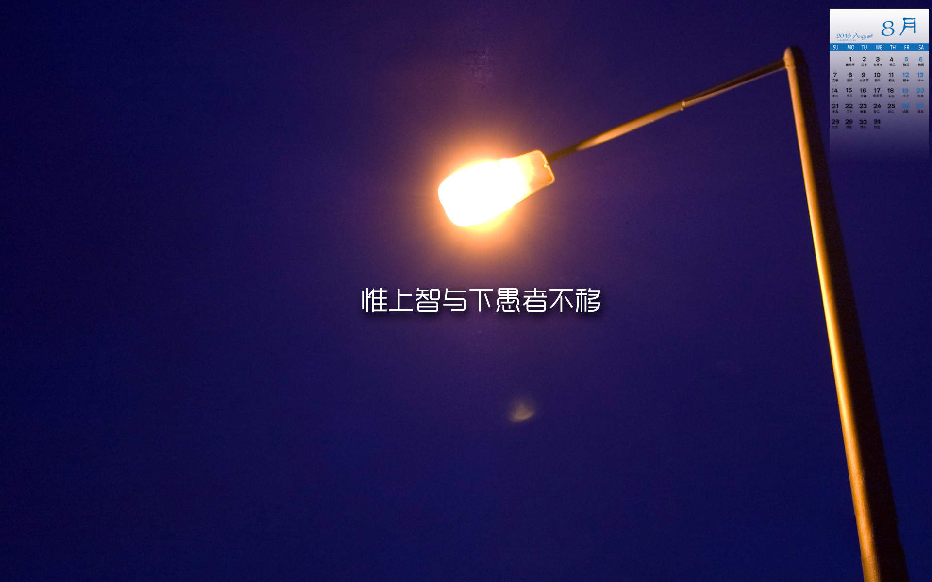 2016年8月日历浪漫情人节图片电脑桌面壁纸下载图片