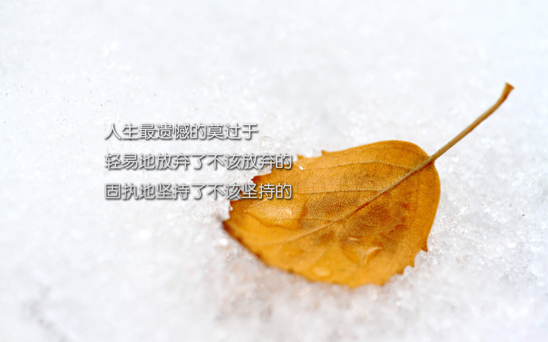 精选励志文字语录创意图片手机壁纸图片