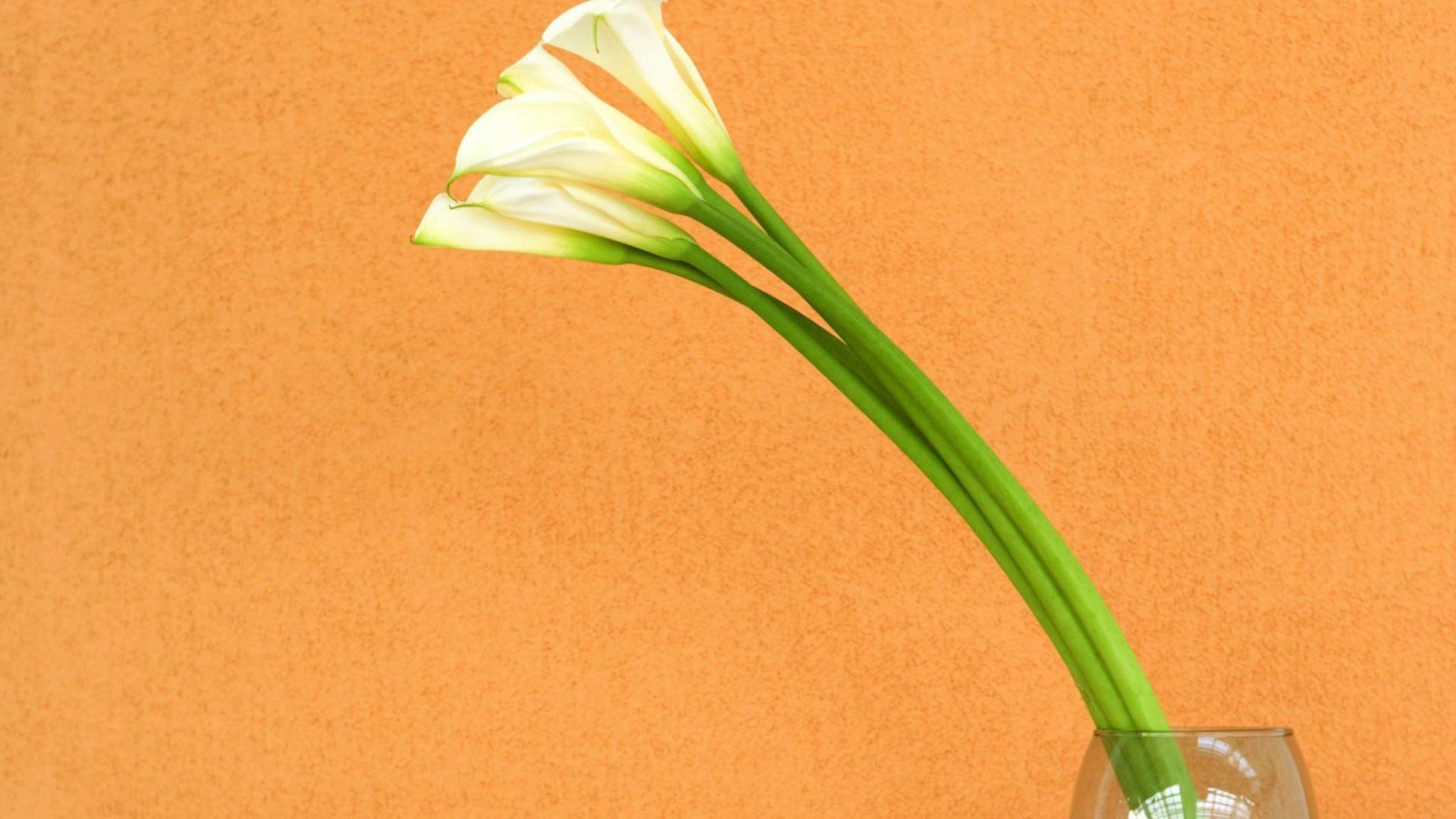 七夕甜美花朵静物唯美爱情电脑壁纸图片