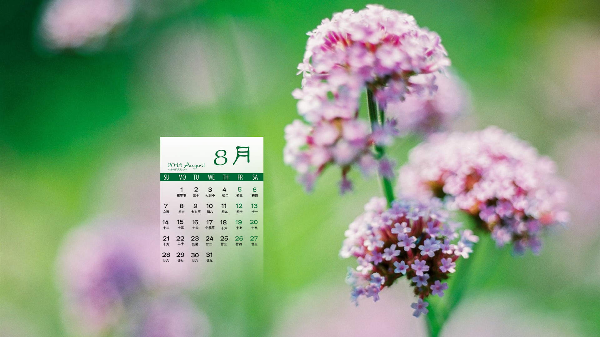2016年8月日历图片
