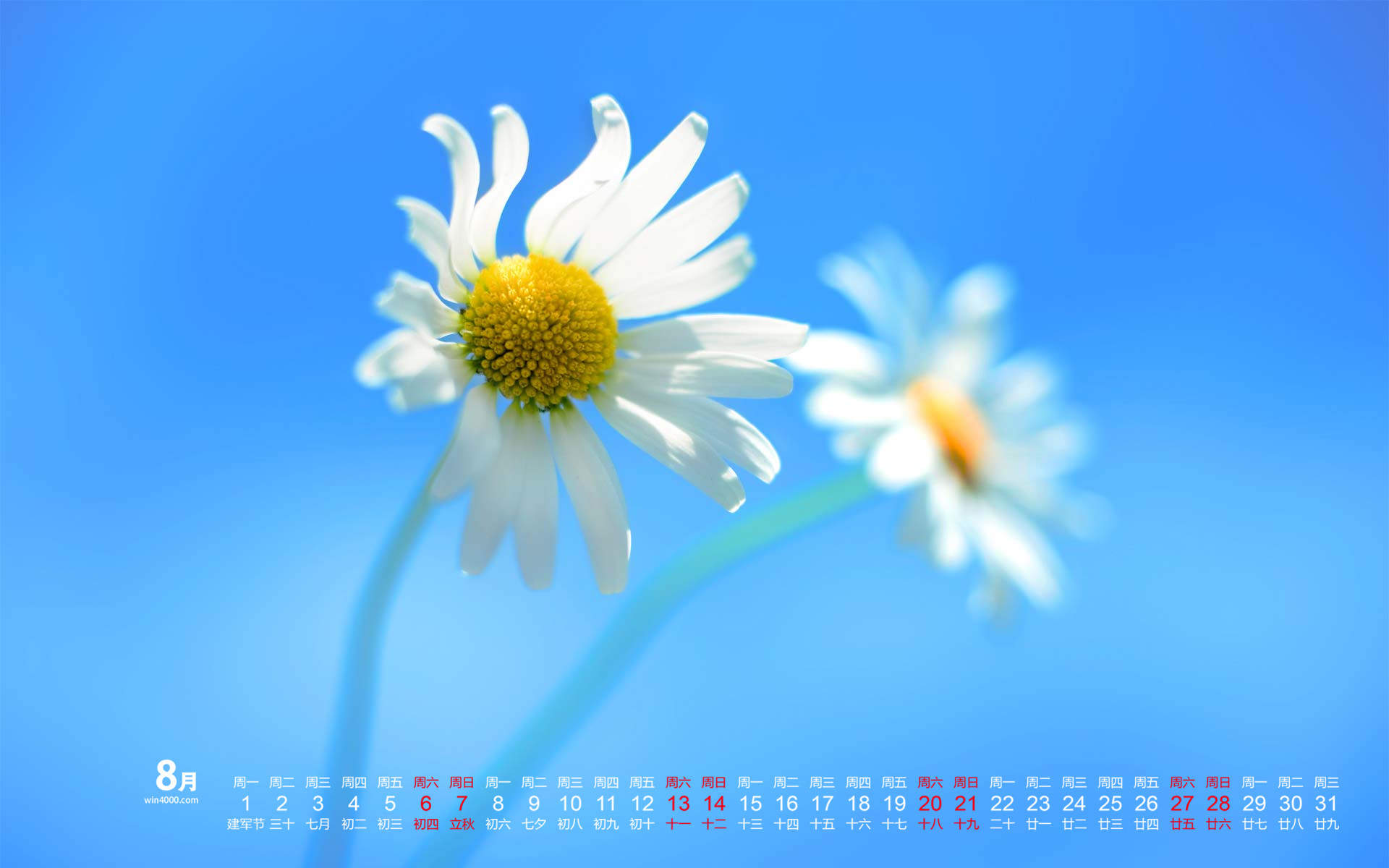 2016年8月日历图片
