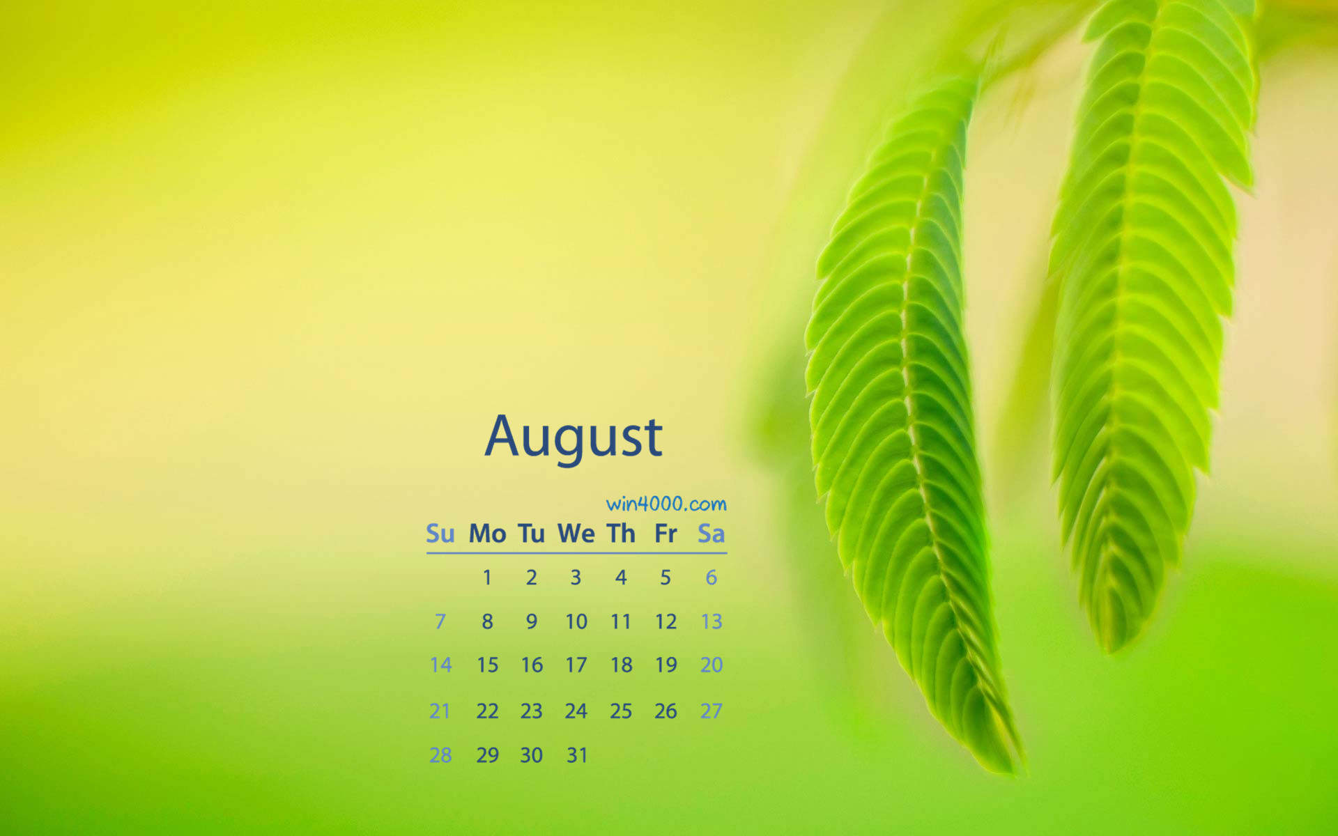 2016年8月日历图片