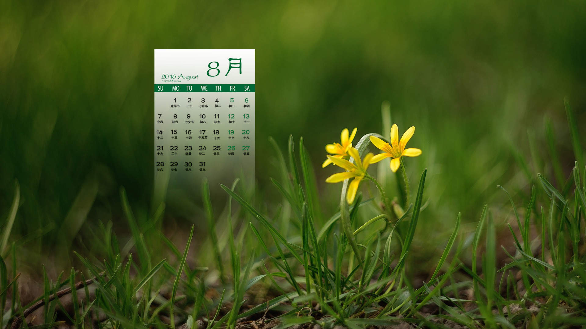 2016年8月日历图片