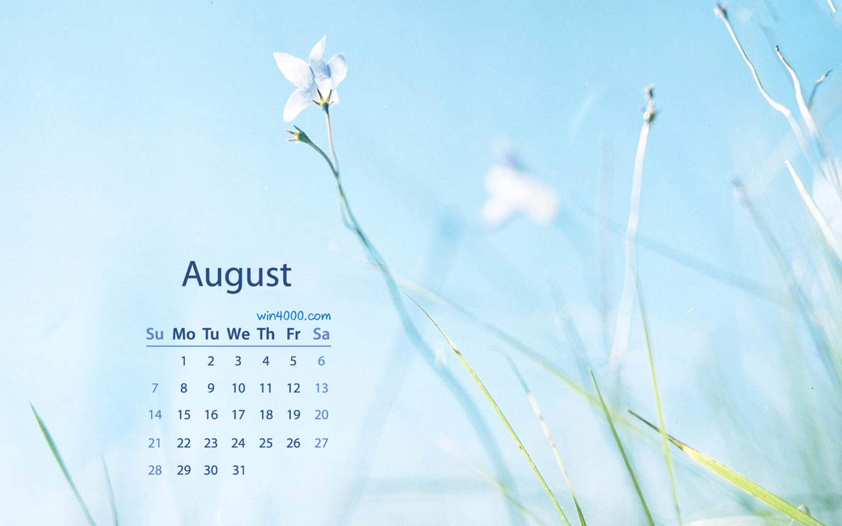 2016年8月日历图片