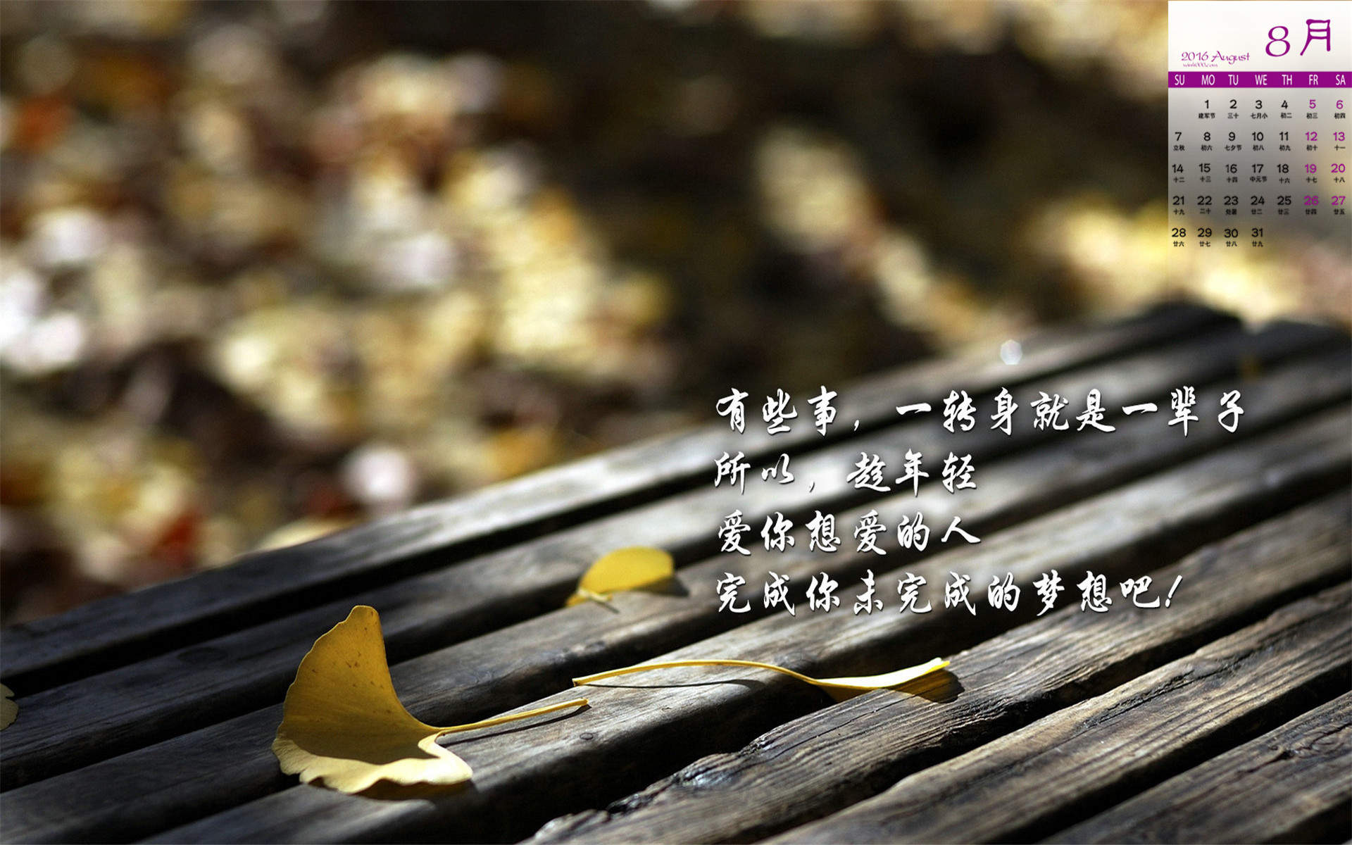 2016年8月日历图片