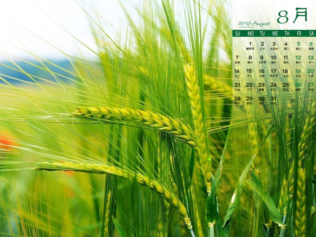 2016年8月日历图片