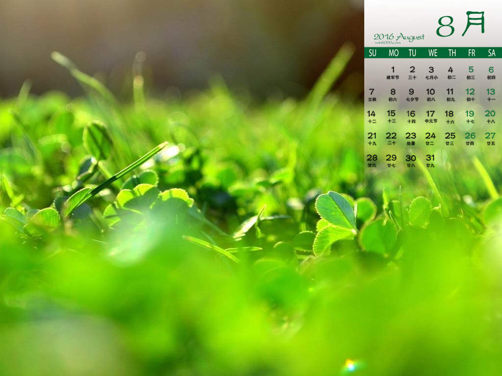 2016年8月日历图片
