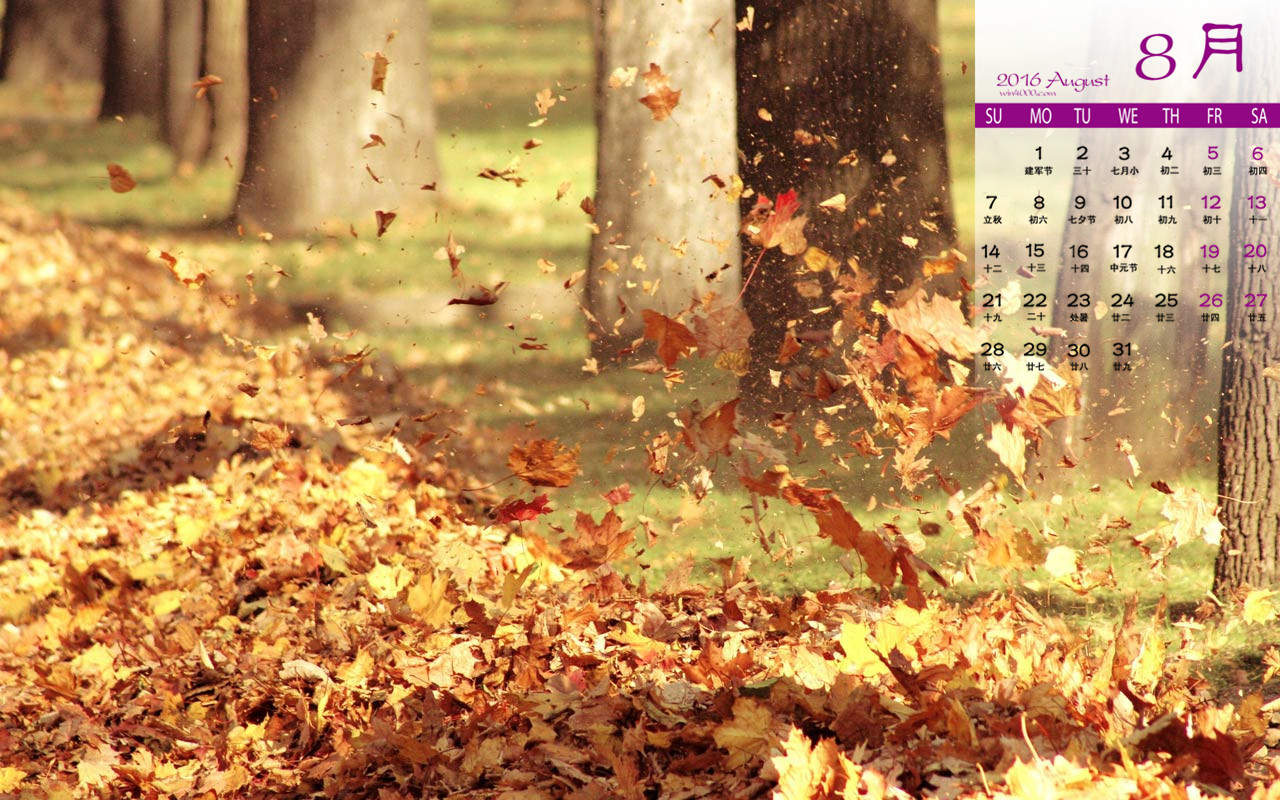 2016年8月日历图片