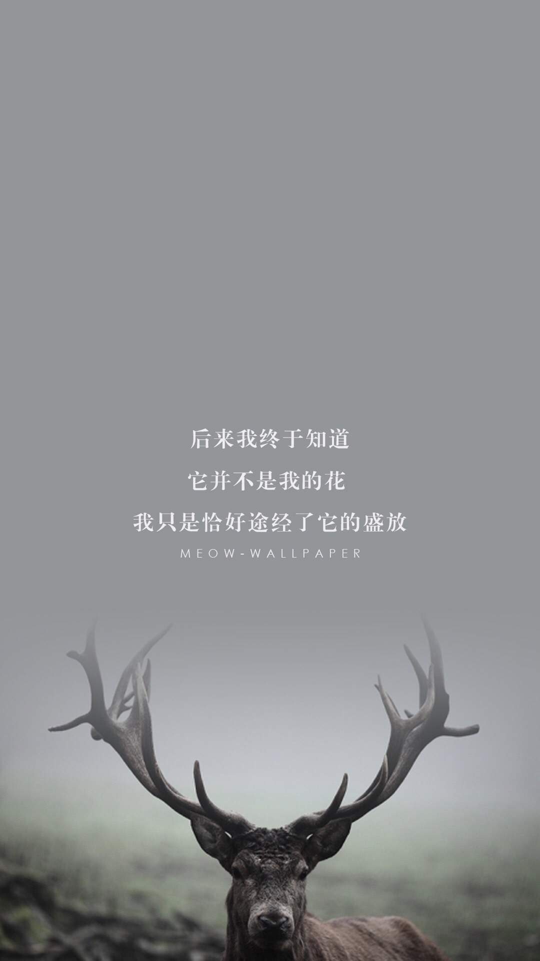 森林麋鹿小清新文字高清手机锁屏壁纸图片