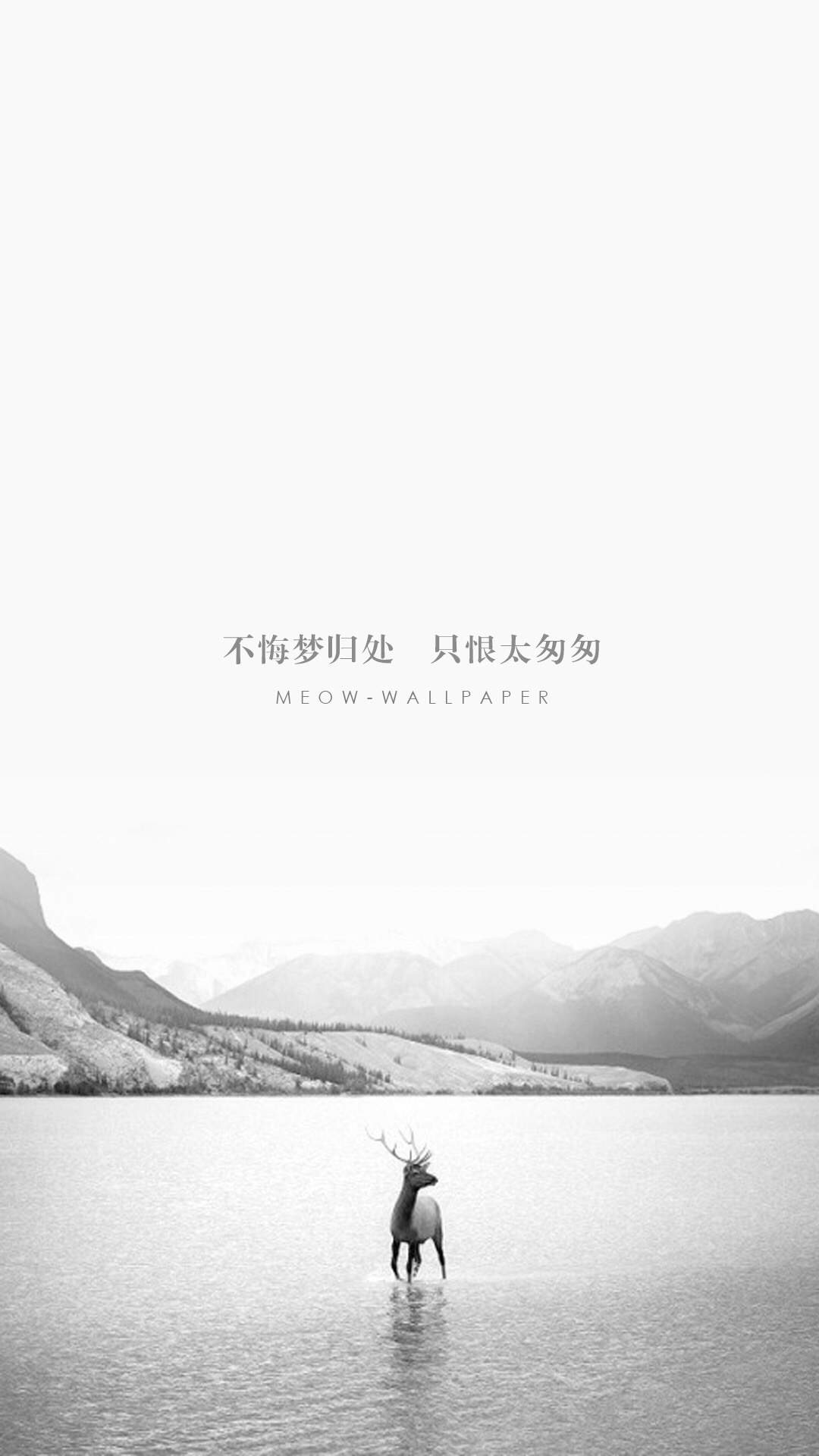 森林麋鹿童话插画高清手机壁纸图片