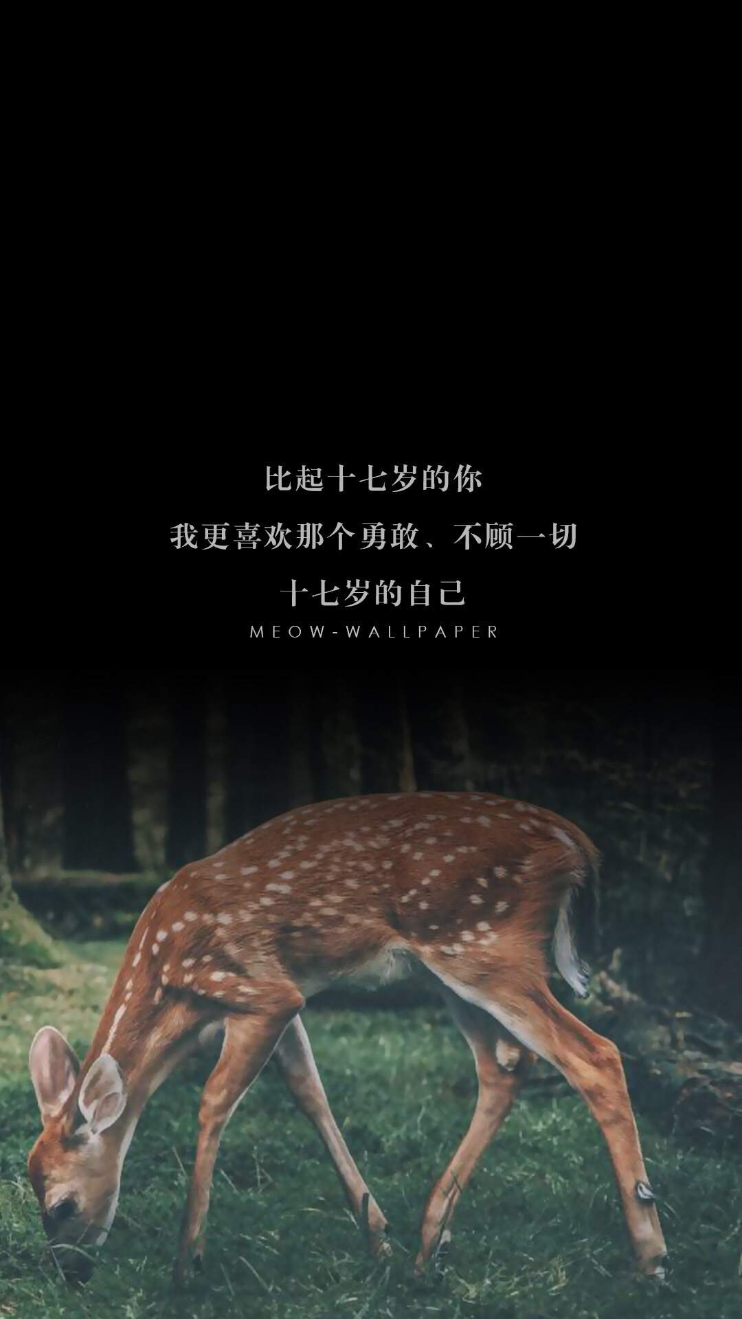 英国红鹿头顶杂草搞笑造型图片图片