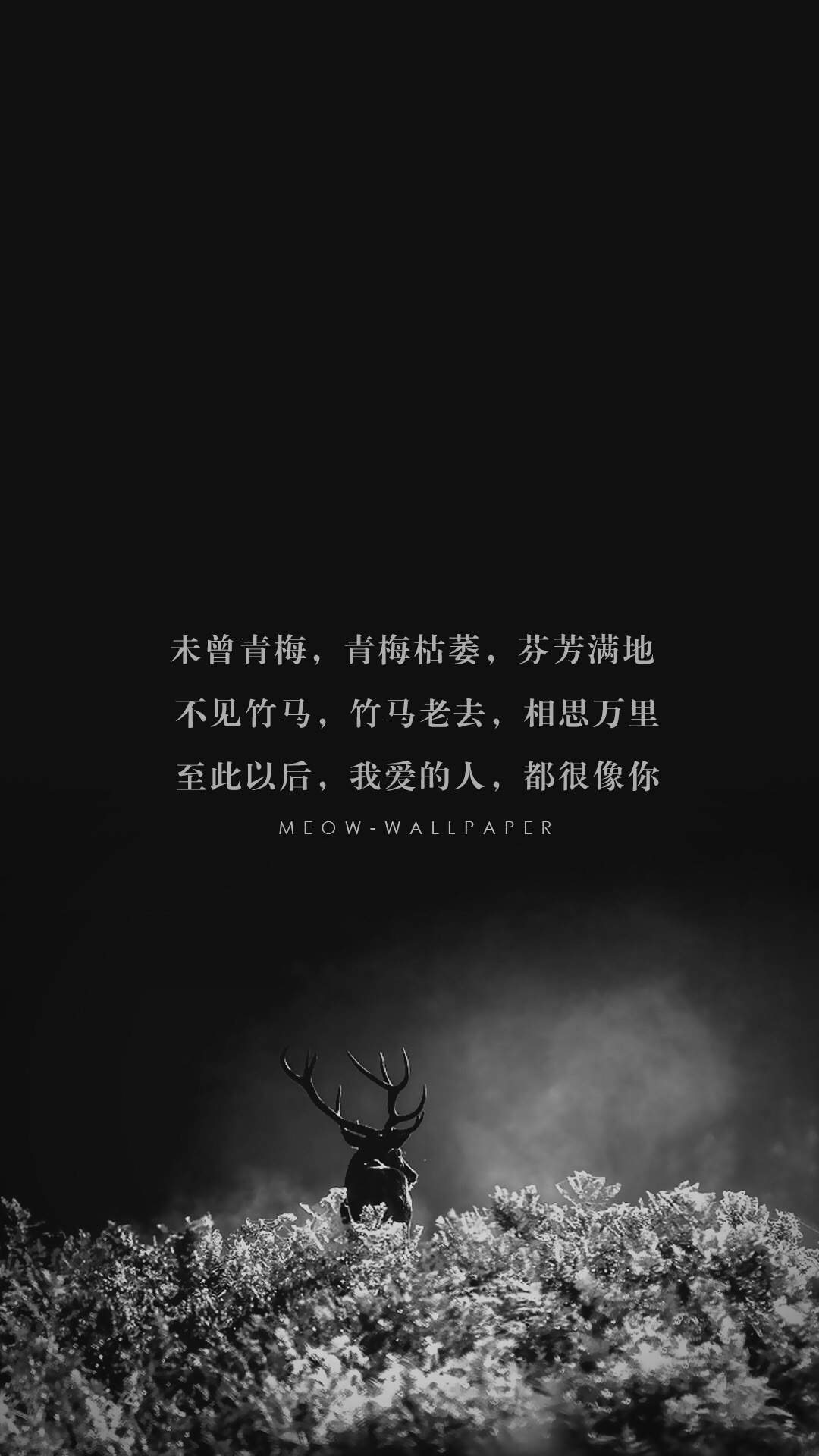 鹿图片图片