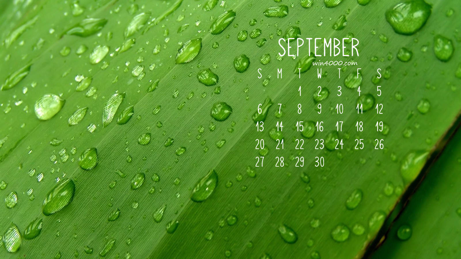 高清2022日历壁纸清新绿叶护眼风景图片图片