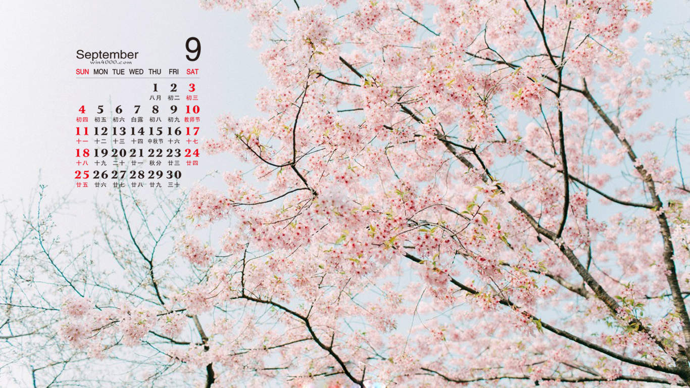 2017年6月唯美好看的樱花高清电脑桌面日历壁纸图片