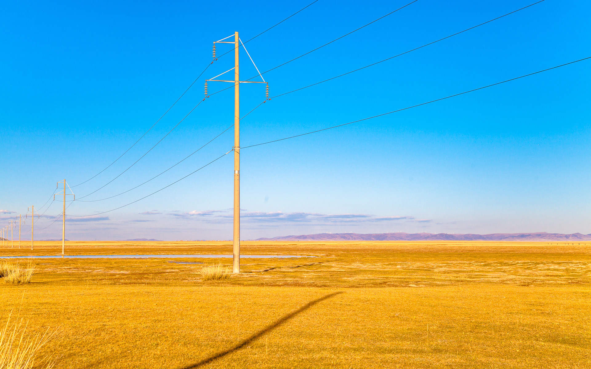 美丽的草原风景清新怡人电脑桌面壁纸图片图片