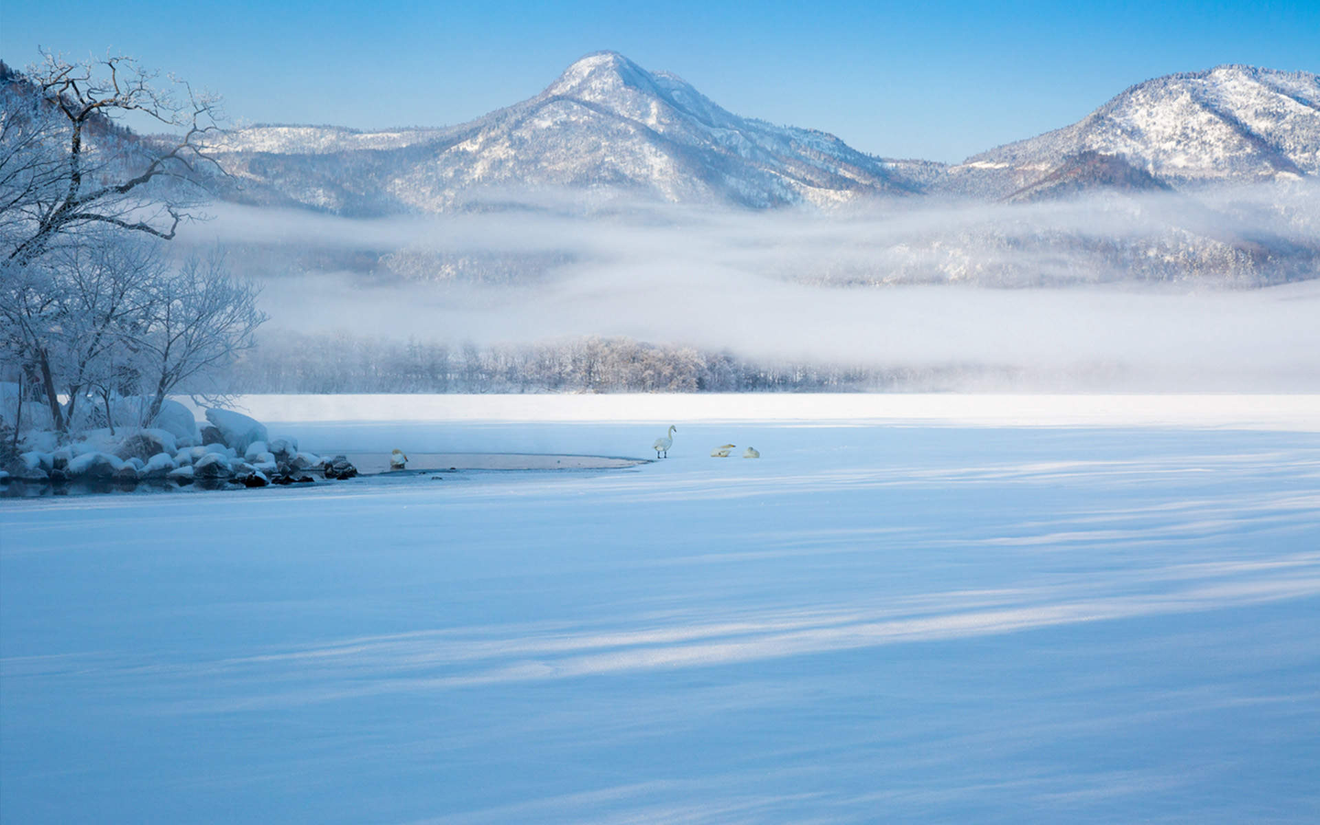 郑秀妍日本函馆冬日雪景唯美写真图片图片