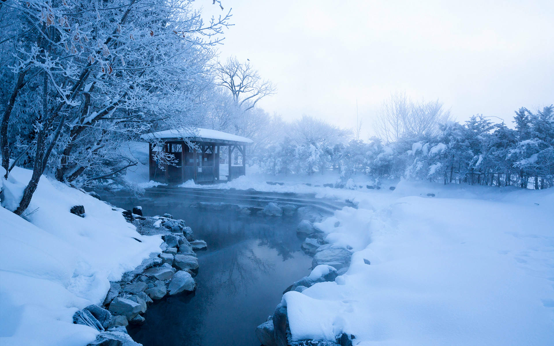 郑秀妍日本函馆冬日雪景唯美写真图片图片
