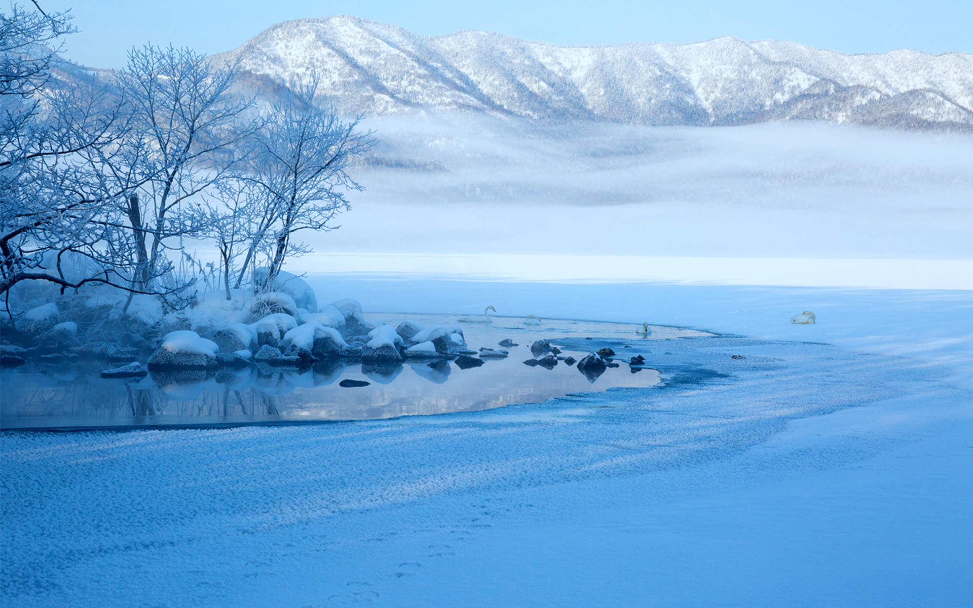 郑秀妍日本函馆冬日雪景唯美写真图片图片