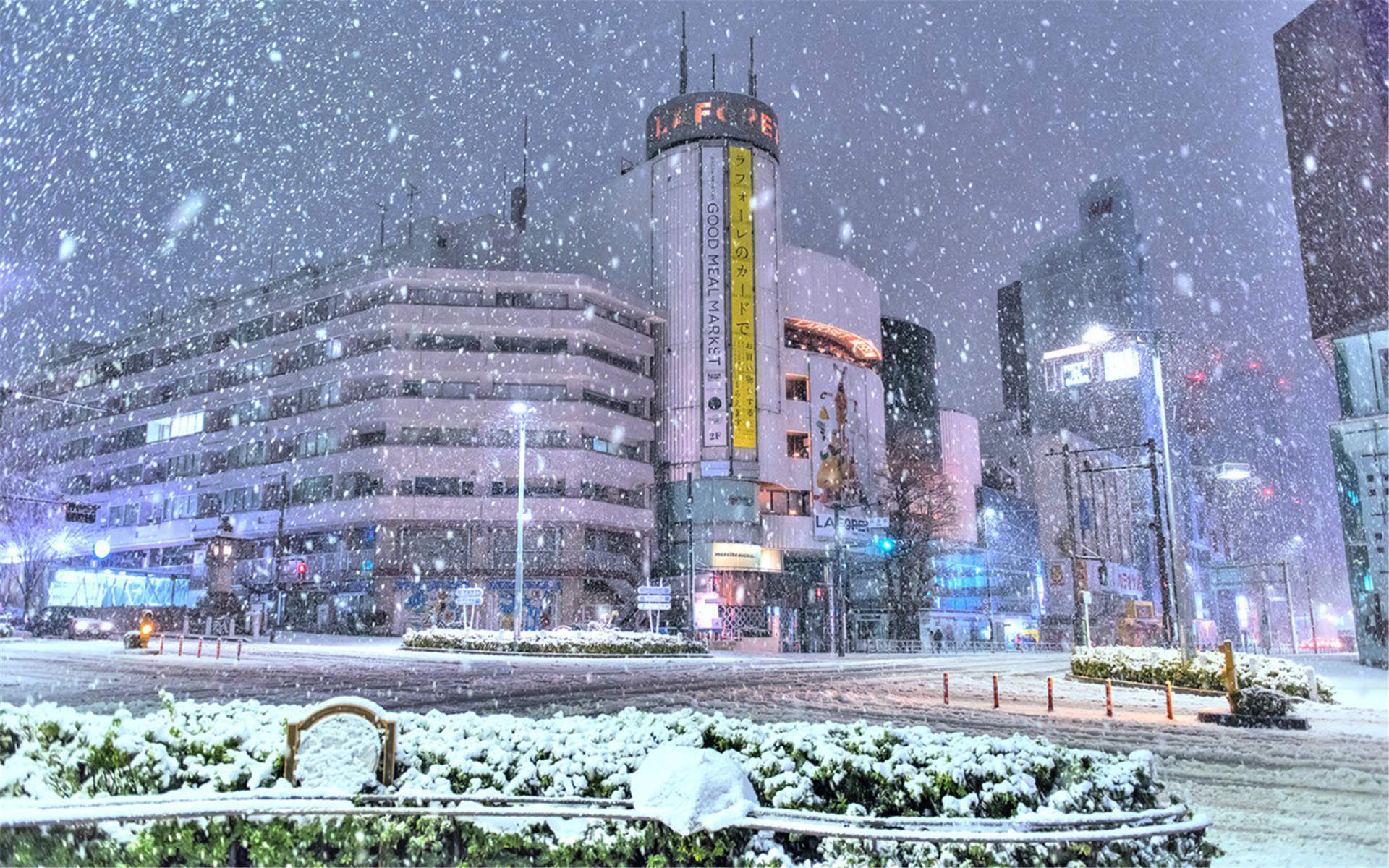 美丽的雪景720X1280手机壁纸图片