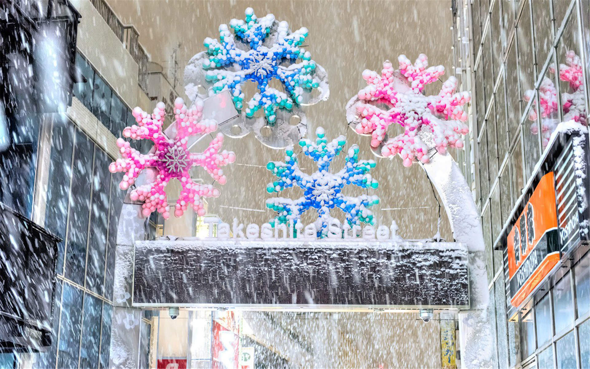 美丽的雪景720X1280手机壁纸图片
