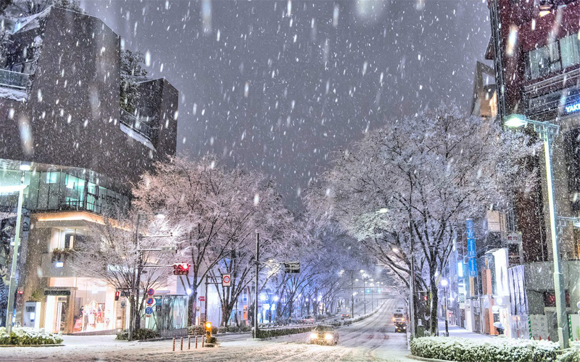 下雪图片